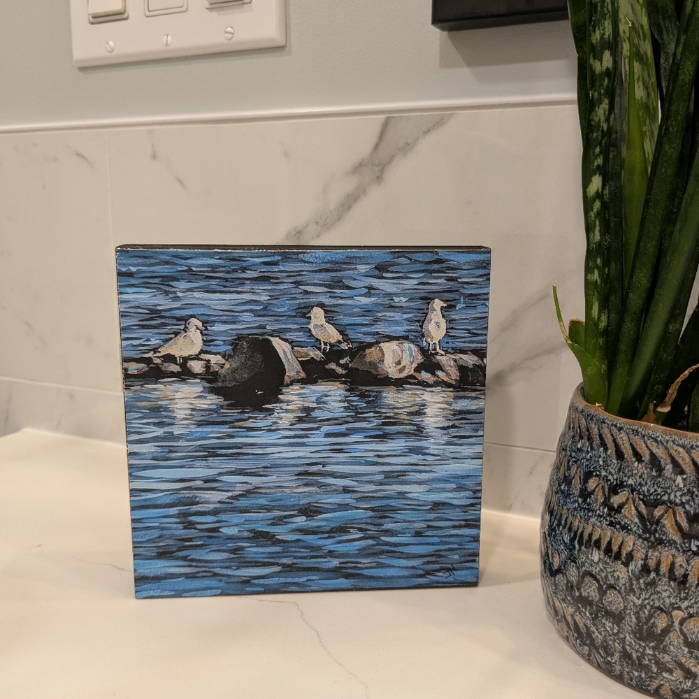 Seagulls on Rocks Canvas Art